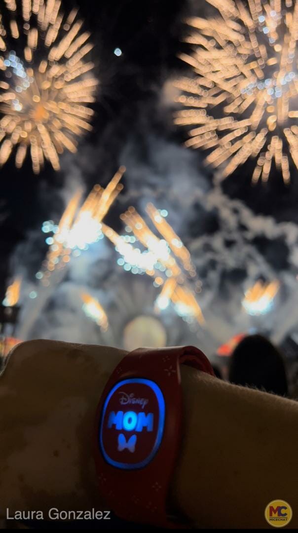 MagicBand+, Necessity or Nuisance: MagicBand+ Lights Up at Walt Disney World