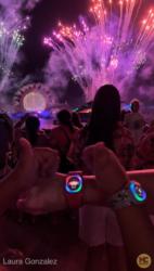 Walt-Disney-World-MagicBand+-EPCOT-harmonious-5