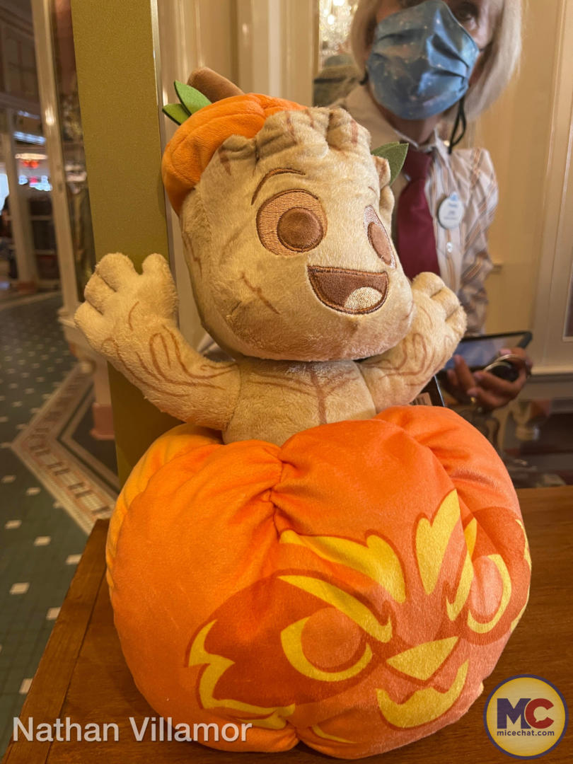 , Disneyland Update – Achievement Unlocked & Preparing for the Future