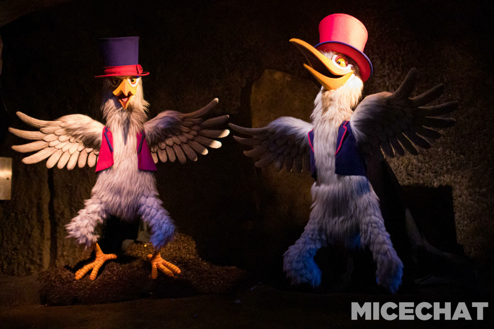 , Disneyland Update: Todayland and its “Boundless” Future