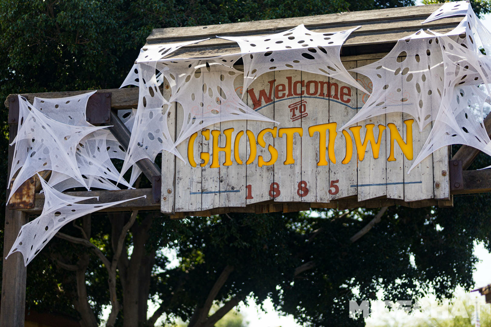 , Knott’s Spooky Farm: The Delightfully Scare-Free Side of Halloween