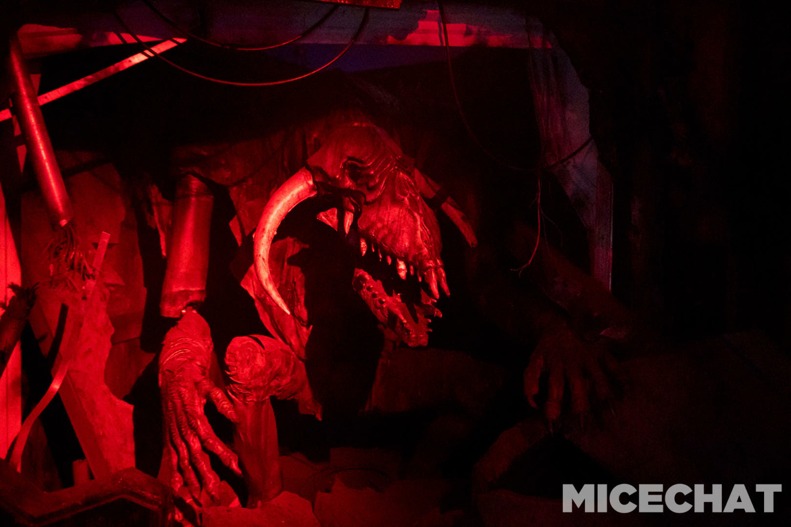 , The Fog Awaits: Your Guide to Knott&#8217;s Scary Farm Halloween Haunt 2022!