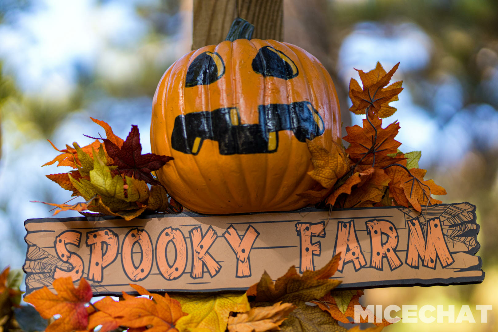 , Knott’s Spooky Farm: The Delightfully Scare-Free Side of Halloween