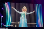 D23 Expo Boundless Future Tokyo Disney Frozen Elsa animatronic DSC_0135-X5