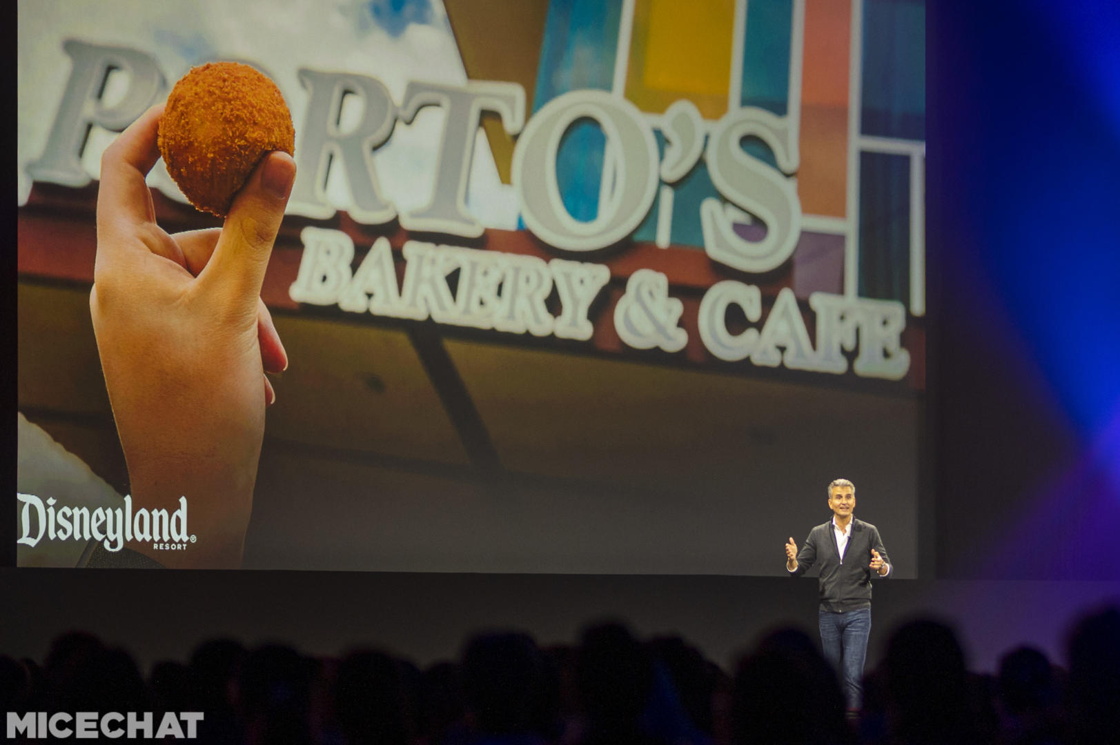 Disney Parks, Is It Enough? New Disneyland Attraction Announcements & Revelations!