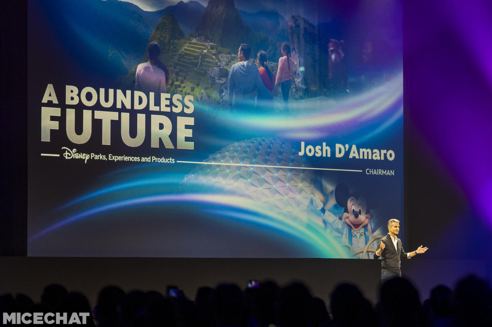 Disney Parks, Is It Enough? New Disneyland Attraction Announcements & Revelations!