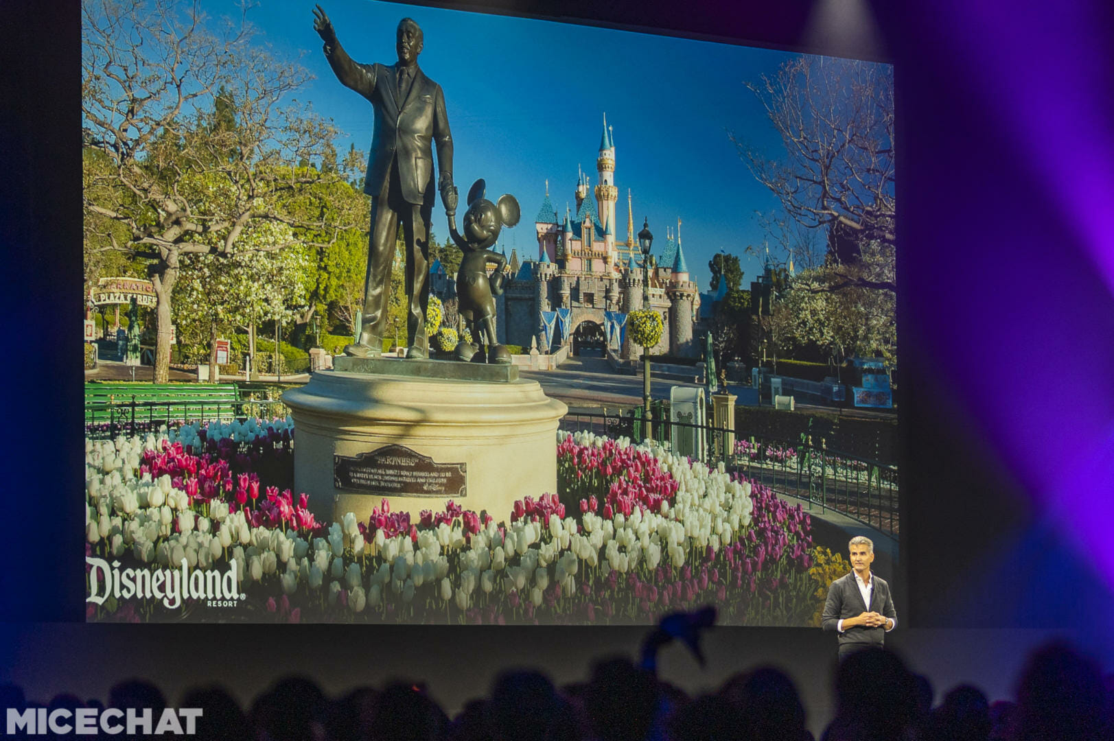 Disney Parks, Is It Enough? New Disneyland Attraction Announcements &#038; Revelations!