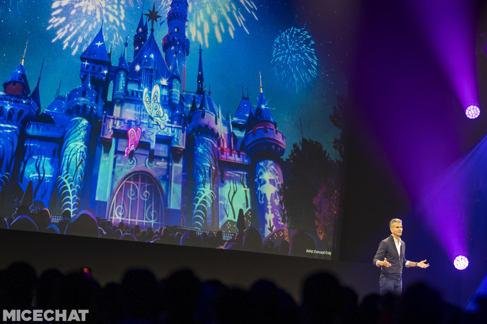 Disney Parks, Is It Enough? New Disneyland Attraction Announcements &#038; Revelations!