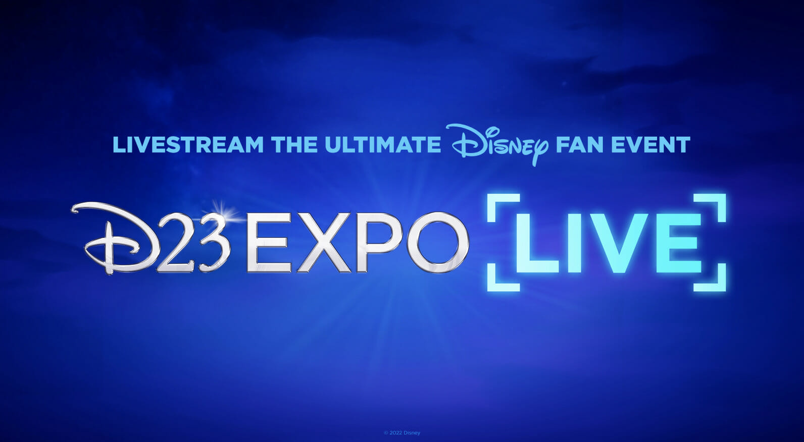 , D23 Expo Questions Answered: Queuing, Camping, Special Gifts & Workarounds!