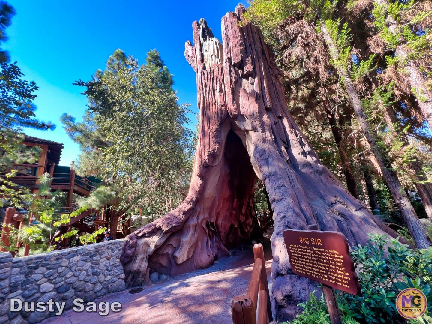 , Disneyland Update: Fall-ing, Scale-ing, Plans Derailing