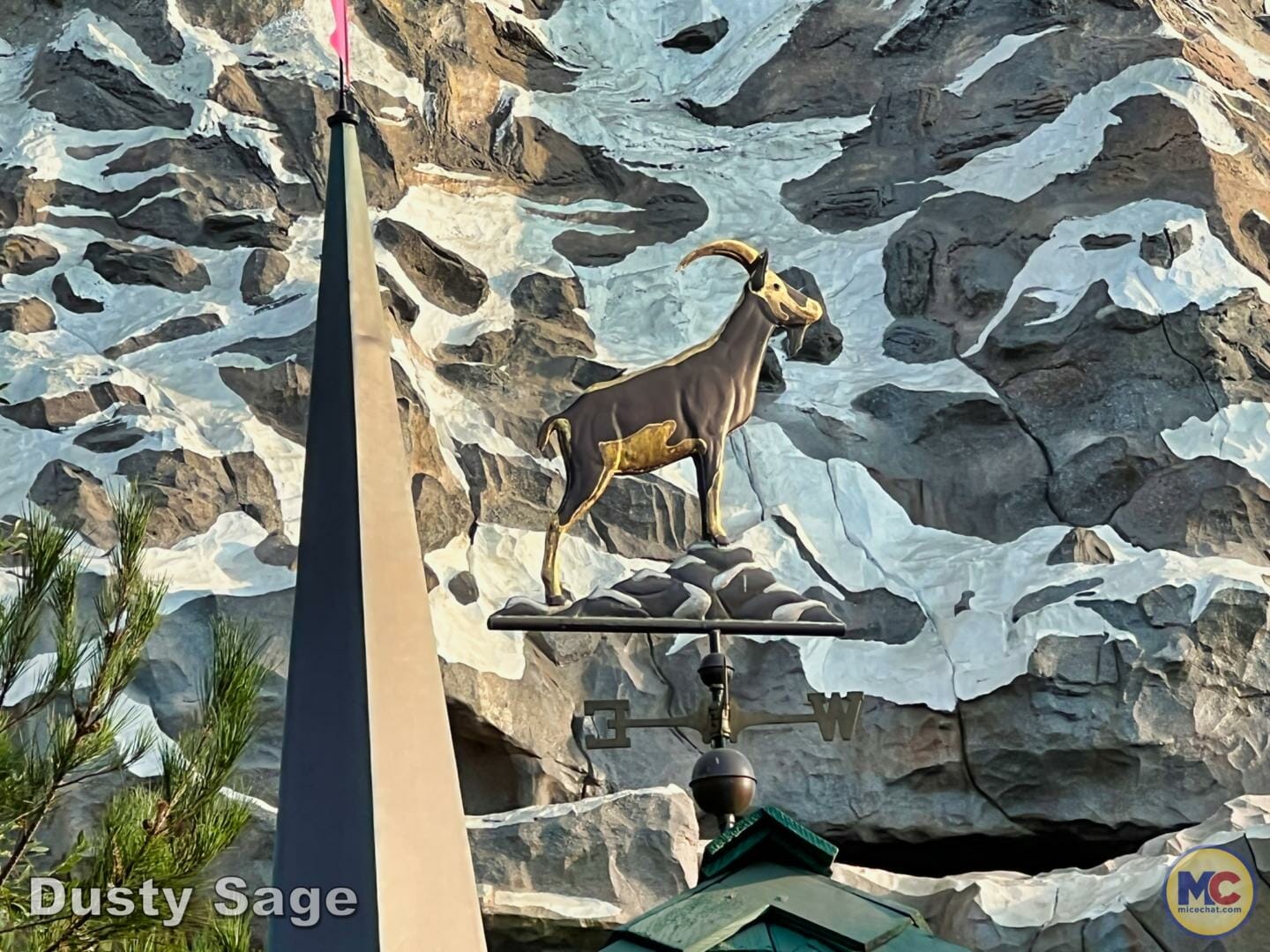 , Disneyland News & Photo Update – Everybody Scream!