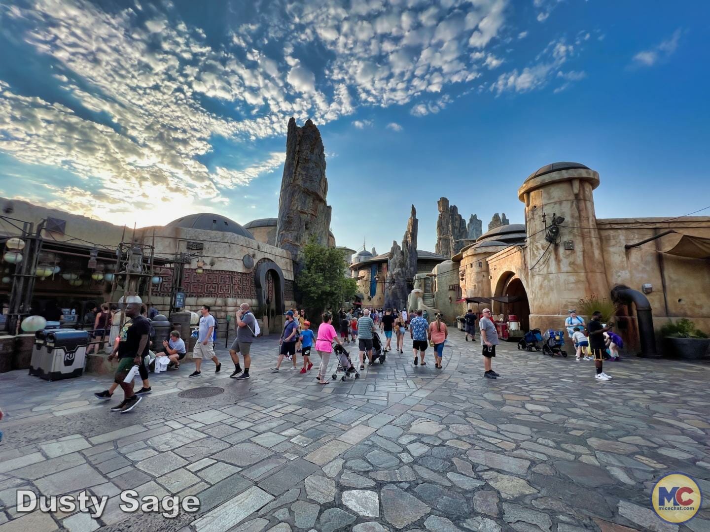 , Disneyland News & Photo Update – Everybody Scream!