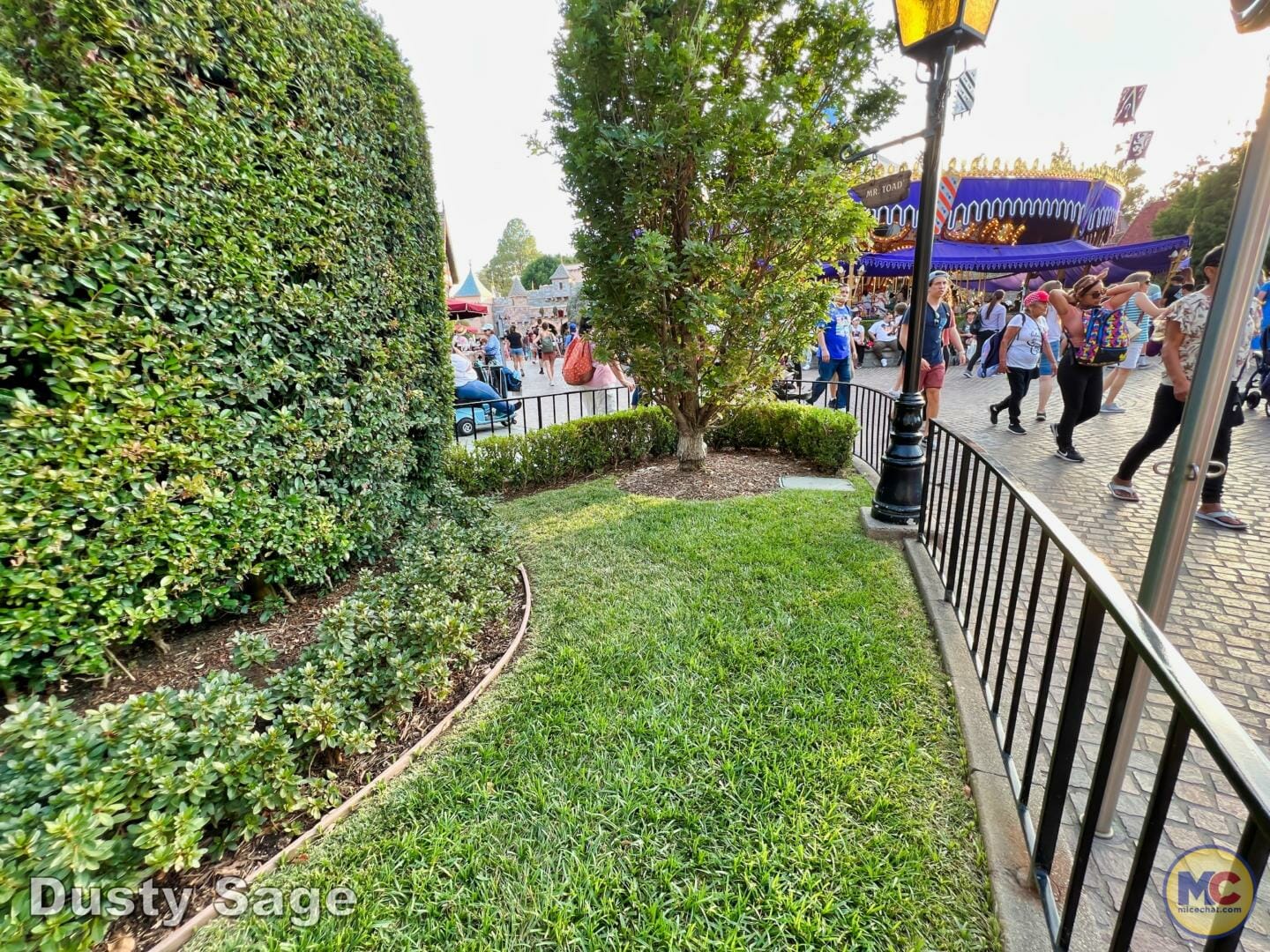 , Disneyland News & Photo Update – Everybody Scream!