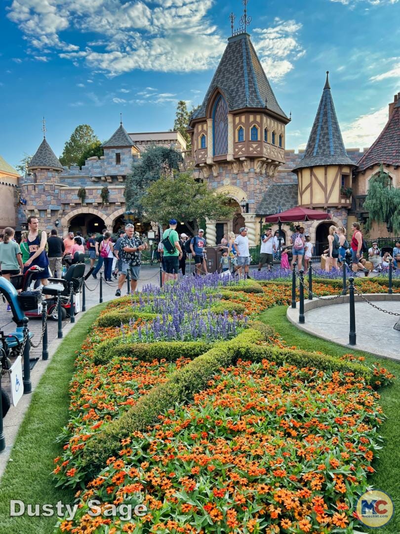 , Disneyland News & Photo Update – Everybody Scream!