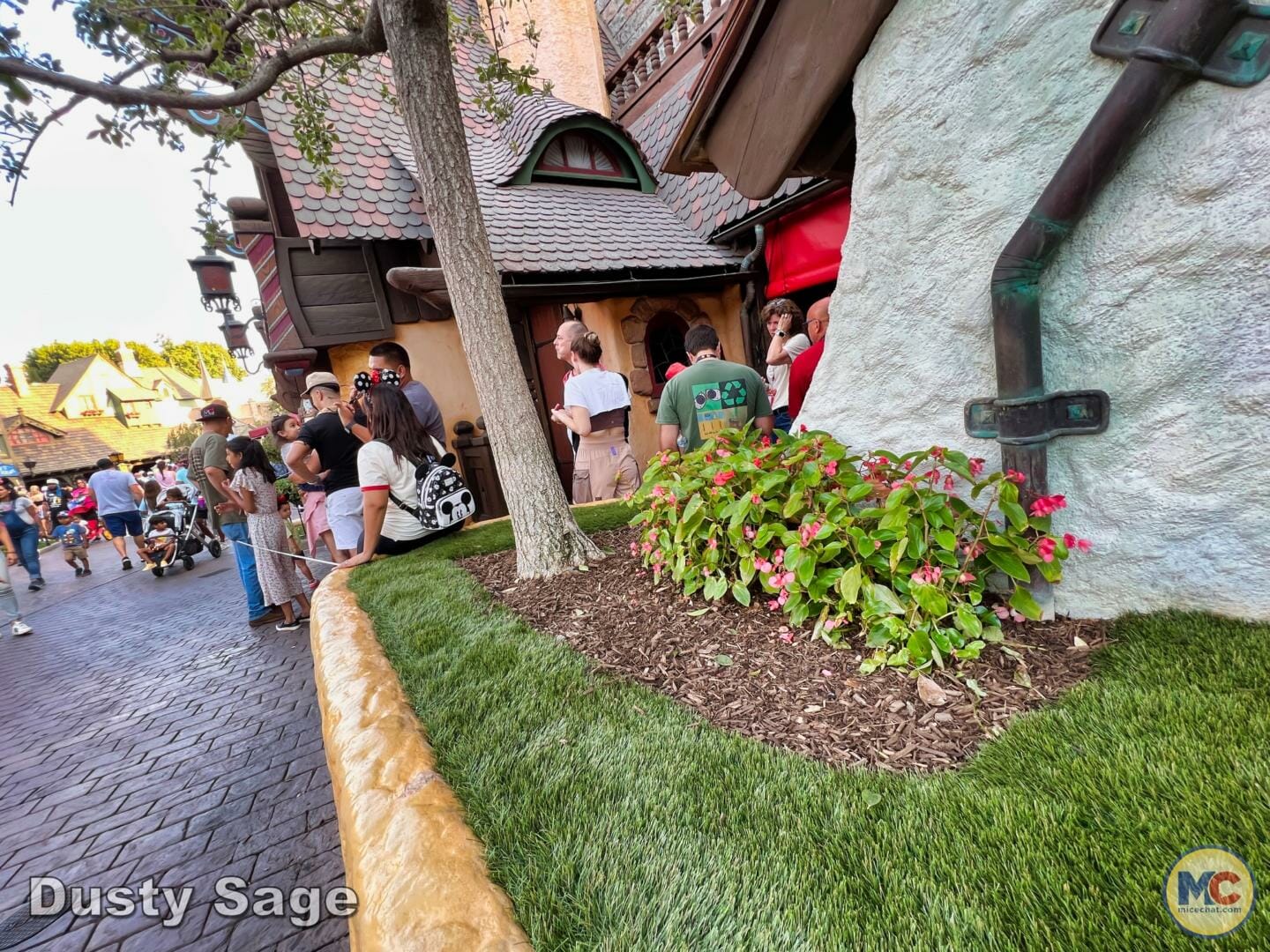 , Disneyland News & Photo Update – Everybody Scream!