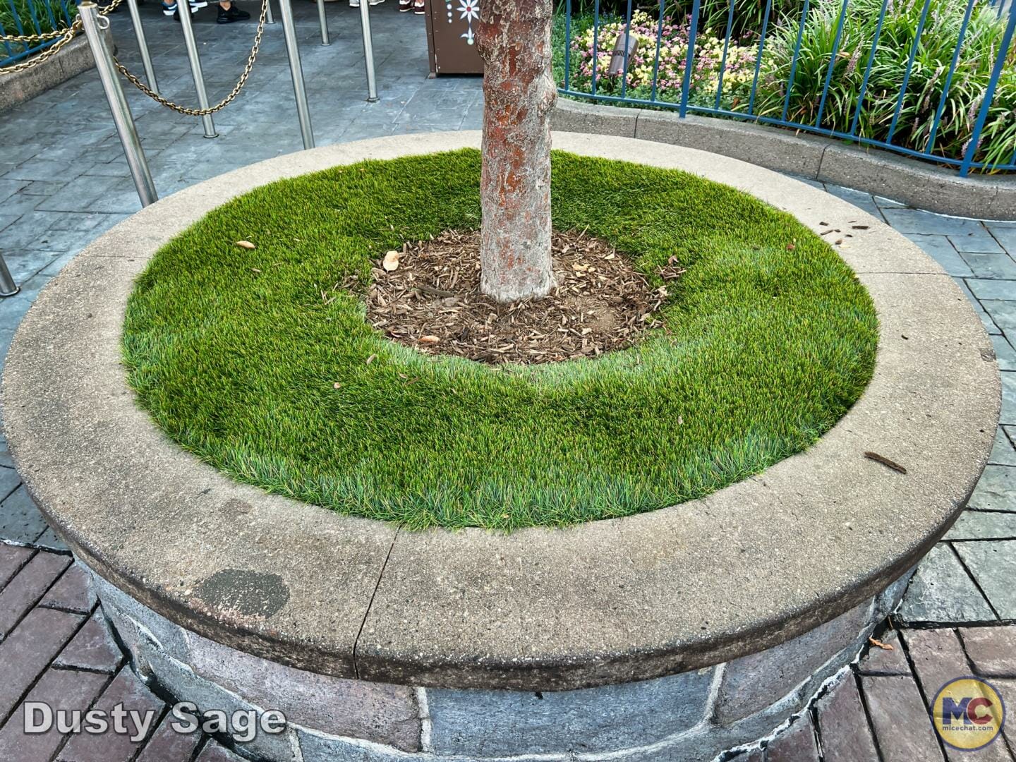 , Disneyland News & Photo Update – Everybody Scream!
