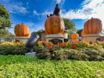Disneyland Halloween Pumpkins Hub Walt Mickey-micechat