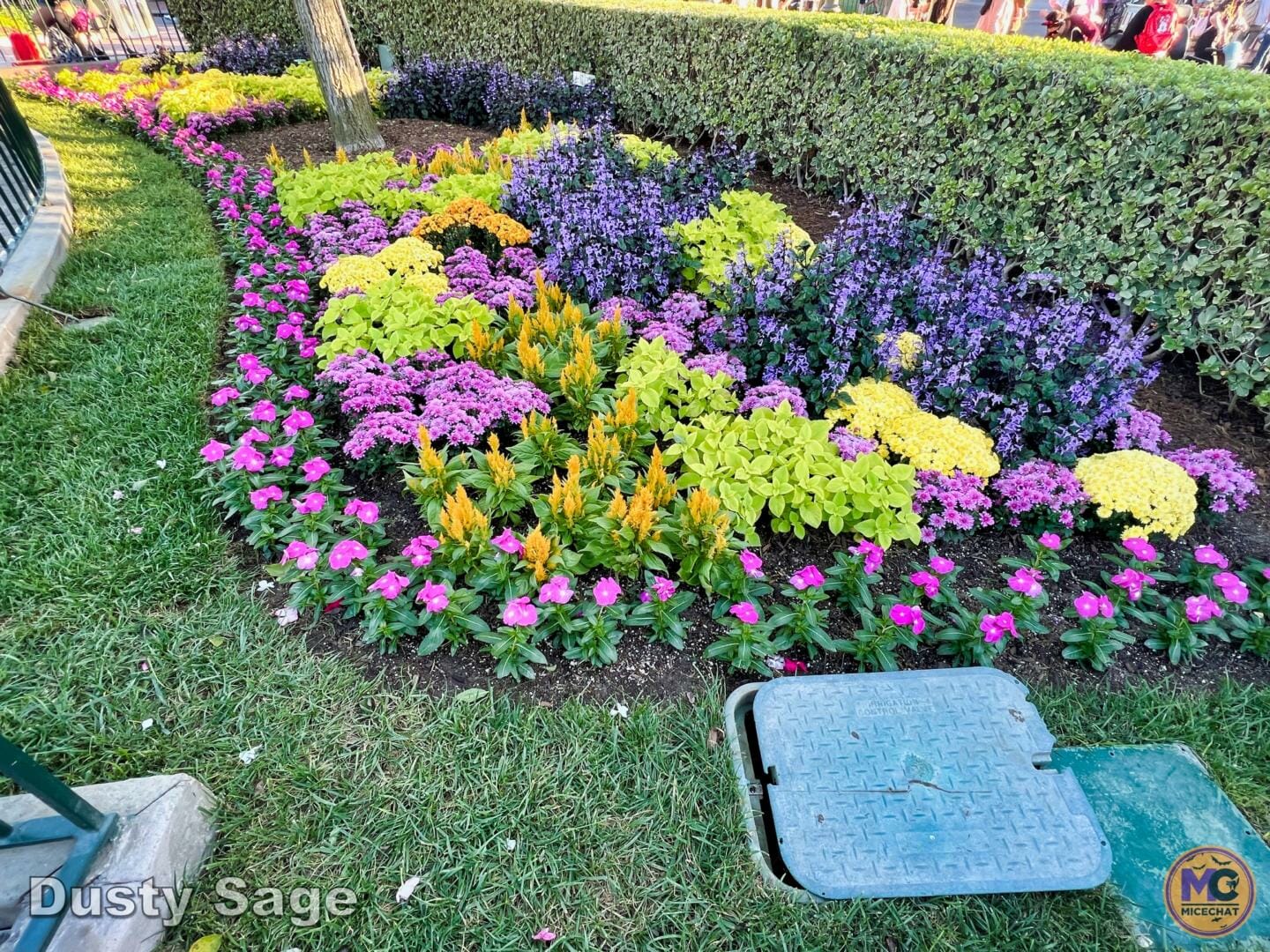 , Disneyland Update: Fall-ing, Scale-ing, Plans Derailing