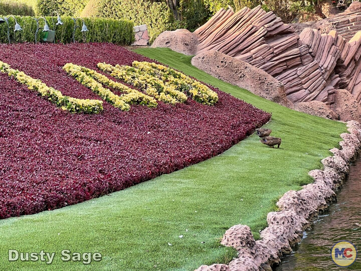 , Disneyland News & Photo Update – Everybody Scream!