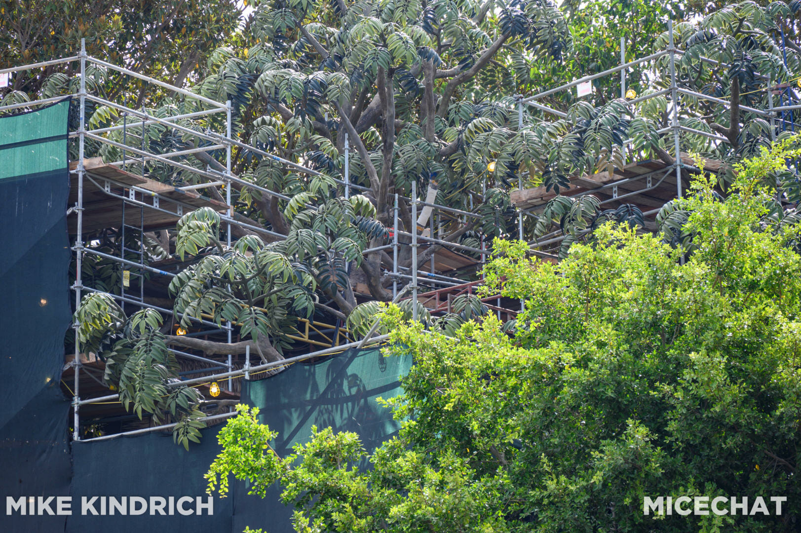 , Disneyland Update: Fall-ing, Scale-ing, Plans Derailing
