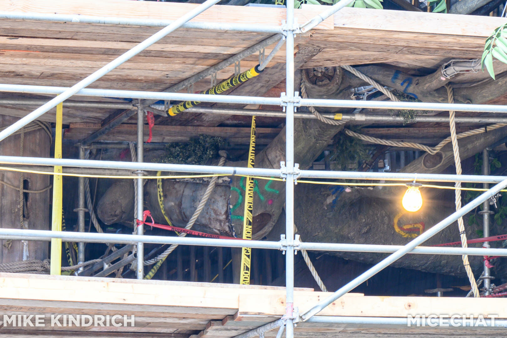 , Disneyland Update: Todayland and its “Boundless” Future