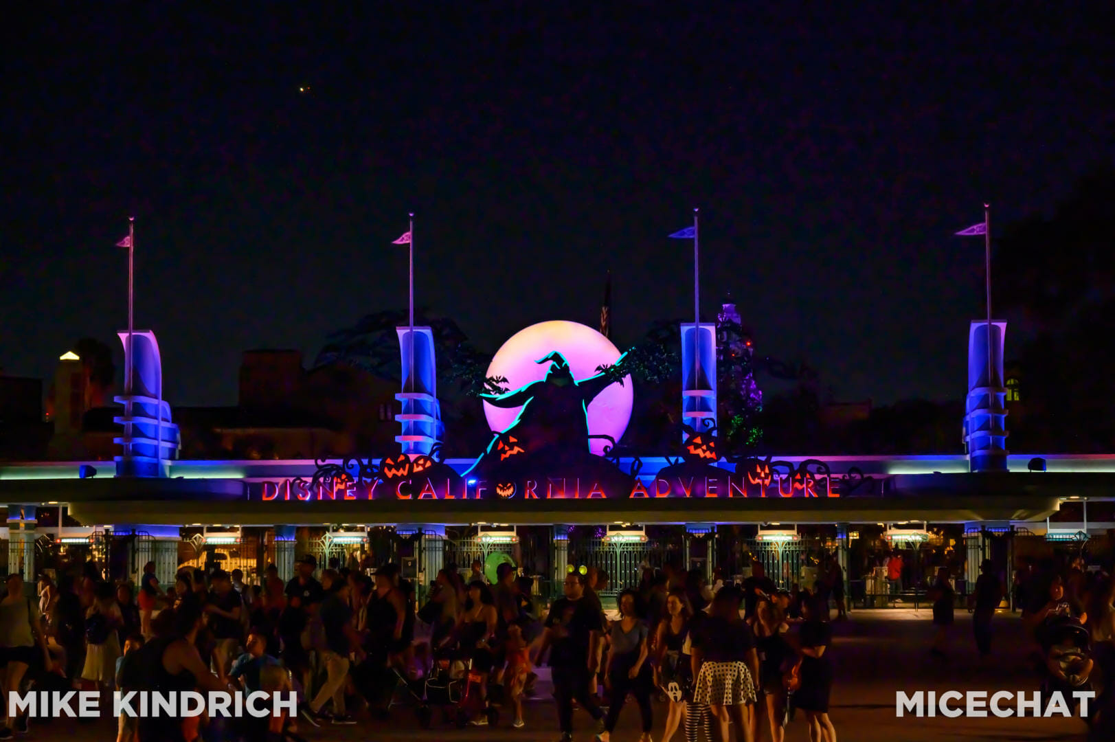 , Disneyland News & Photo Update – Everybody Scream!