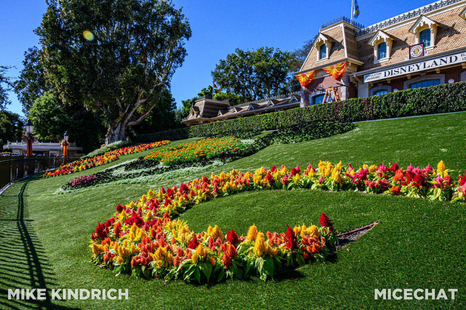 , Disneyland Update: Fall-ing, Scale-ing, Plans Derailing
