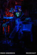 Disneyland_New Orleans Square_Haunted Mansion Holiday_Holiday (1 of 1)-19