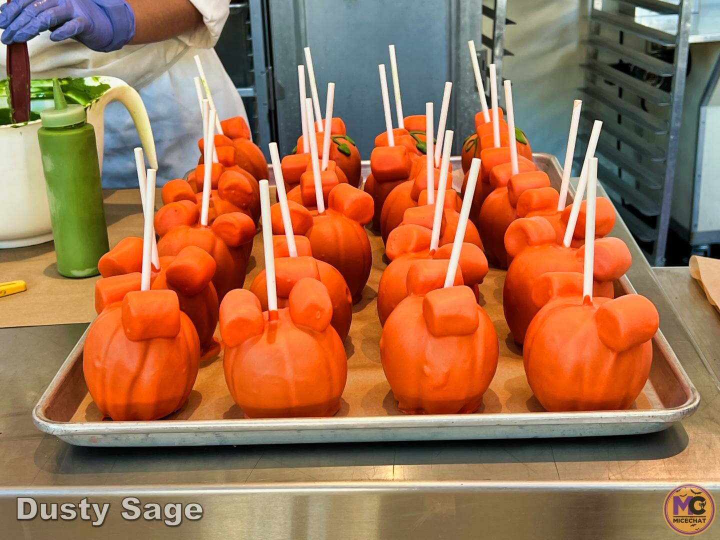 Downtown Disney Mickey Pumpkin micechat MiceChat Downtown disney mickey pumpkin micechat micechat