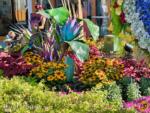 Downtown Disney gardens bad -micechat