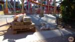 Knotts Berry Farm_Fiesta Village Construction_Reflection Lake Pathway East