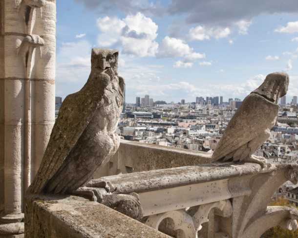 Notre Dame Grotesques