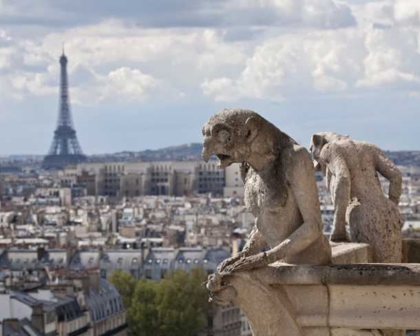 Notre Dame Grotesques