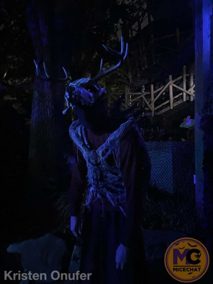 , Ghouls Night Out: Busch Gardens Tampa Howl-O-Scream 2022 Thrills &#038; Chills