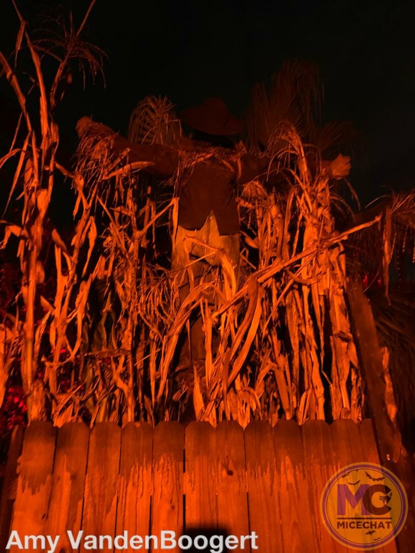 , Ghouls Night Out: Busch Gardens Tampa Howl-O-Scream 2022 Thrills &#038; Chills