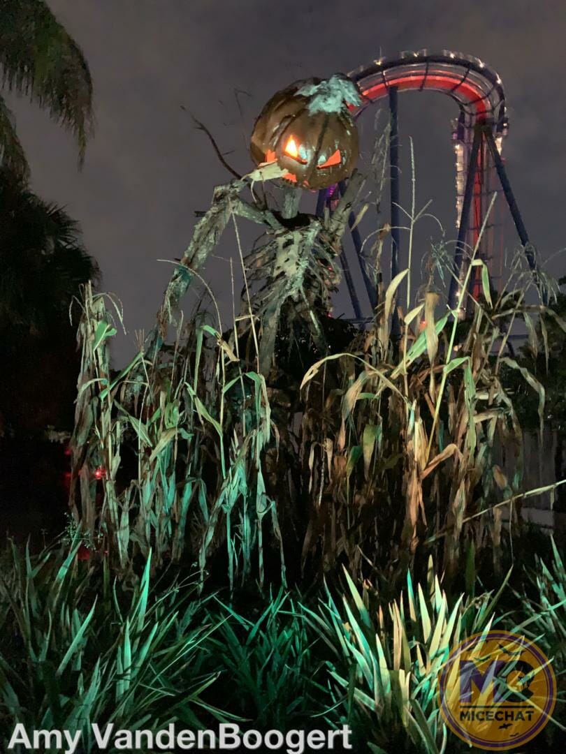 , Ghouls Night Out: Busch Gardens Tampa Howl-O-Scream 2022 Thrills &#038; Chills