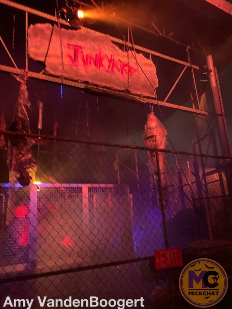 , Ghouls Night Out: Busch Gardens Tampa Howl-O-Scream 2022 Thrills &#038; Chills