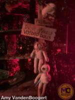 busch gardens tampa howl o scream voodoo 3
