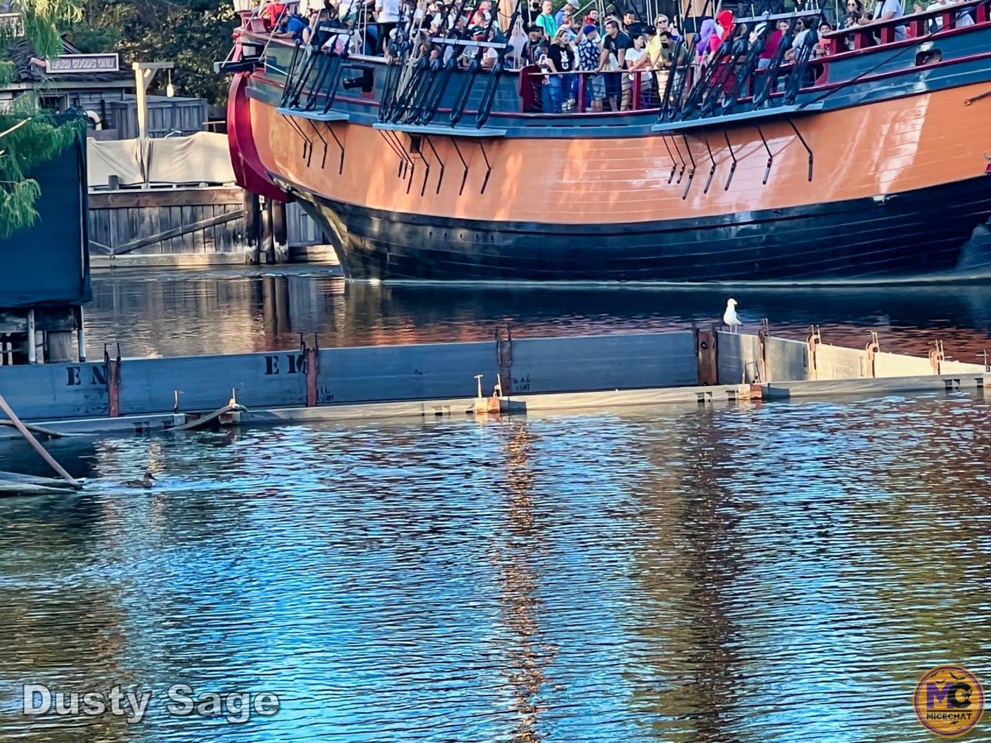 , Disneyland Update: Halloween Treats & Traffic Tricks!