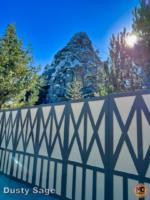 disneyland construction matterhorn 2-micechat