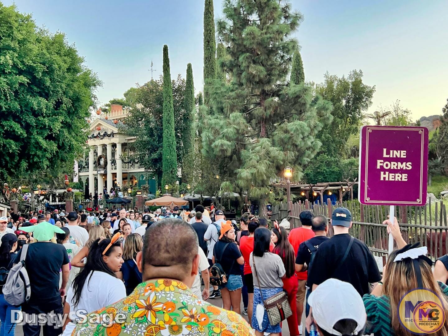 , Disneyland Update: Halloween Treats & Traffic Tricks!