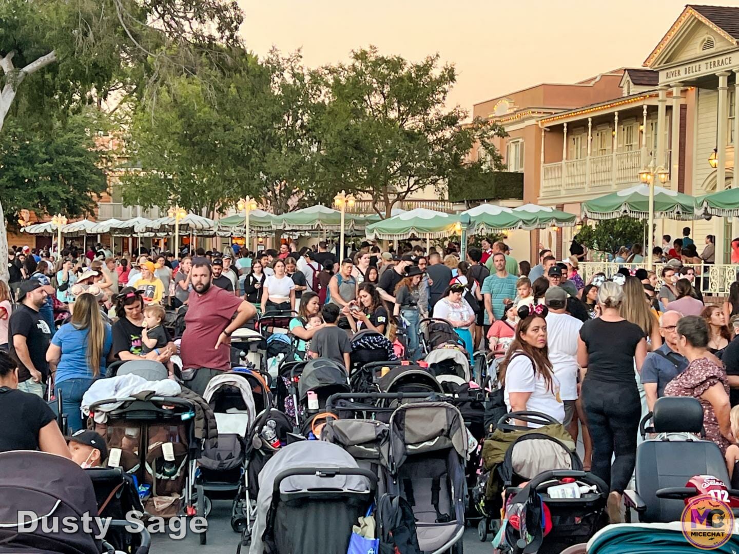 , Disneyland Update: Halloween Treats & Traffic Tricks!