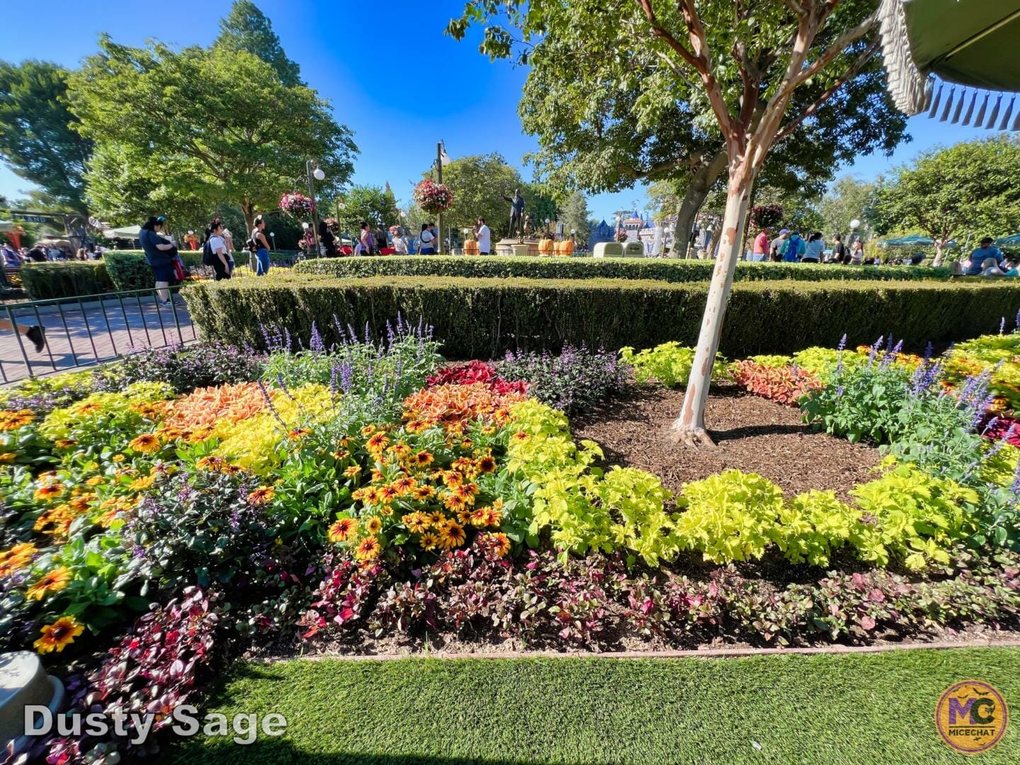 , Disneyland Update: Fall-ing, Scale-ing, Plans Derailing