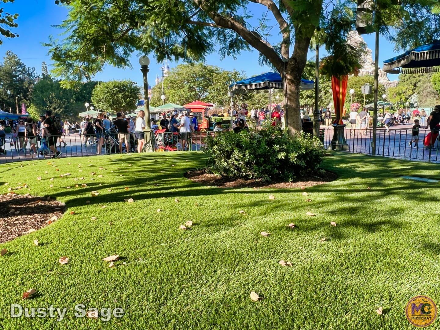 , Disneyland Update: Halloween Treats & Traffic Tricks!