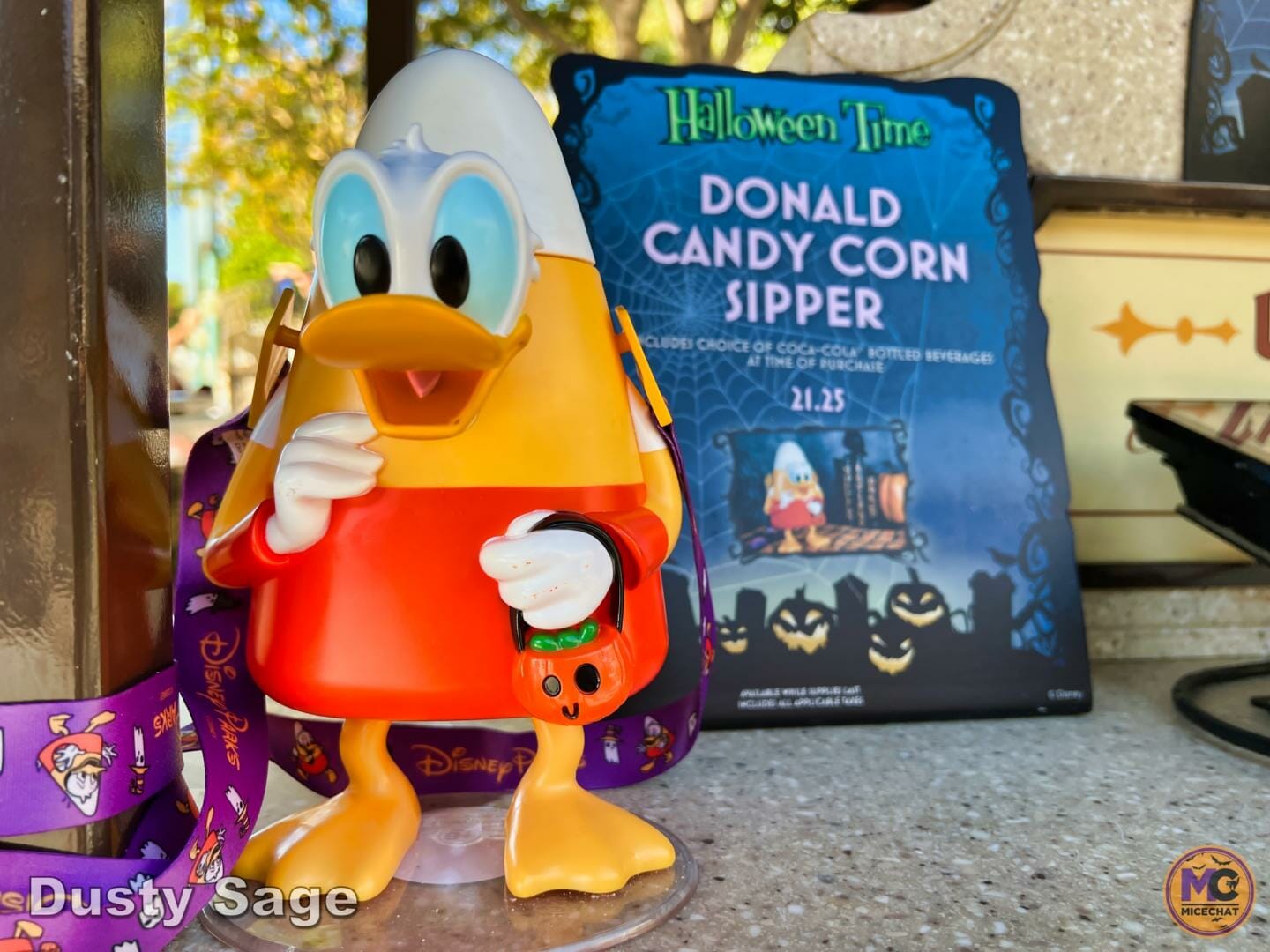 , Disneyland Update: Fall-ing, Scale-ing, Plans Derailing