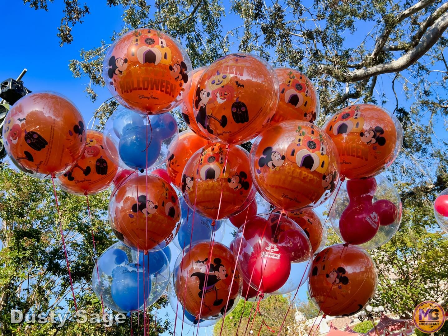 , Disneyland Update: Halloween Treats & Traffic Tricks!