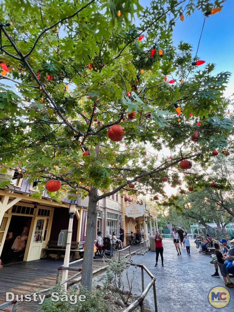 , Disneyland News & Photo Update – Everybody Scream!