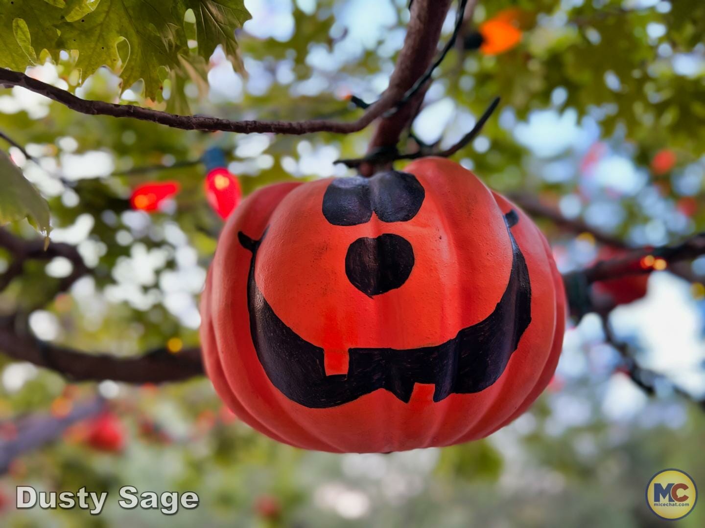 , Disneyland News & Photo Update – Everybody Scream!