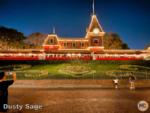 disneyland night mickey floral 2-micechat