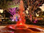downtown disney fountain night-micechat